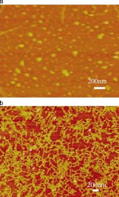 Isinglass : Une Fibroïne Incontournable pour le Textile Moderne ?